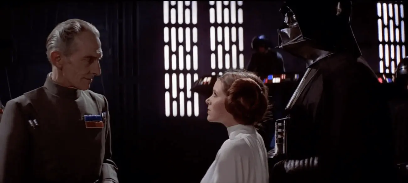 Princess Leia in a negotiation Process.