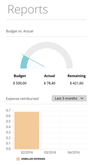 Business Report with KPIs on mobile